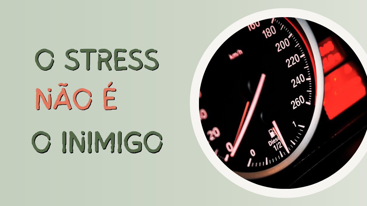 O stress não é o inimigo