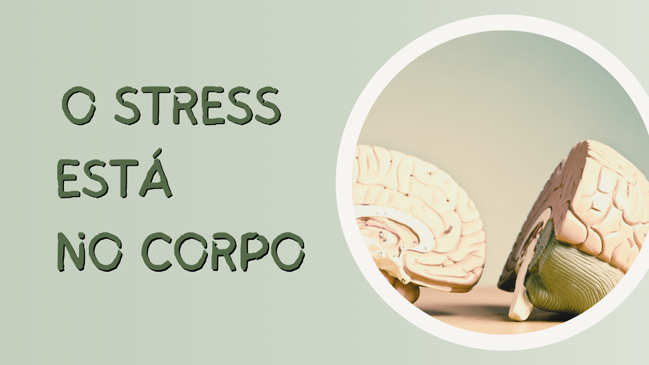 Stress no corpo: o que o sistema nervoso te está a dizer